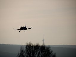 fliegen0803 30